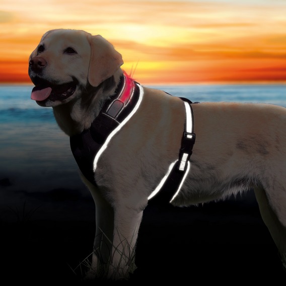 Flash Soft hundesele med flash-lysbånd.