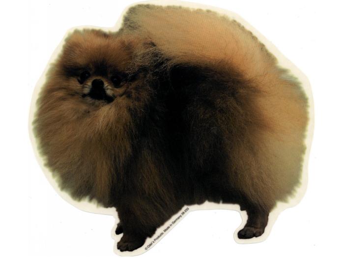 Pomeranian, st. Vælg: klistermærke, nøglering, broche, slipsenål, mm