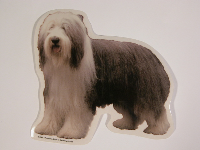 Bearded Collie, st. Vælg: klistermærke, nøglering, broche, slipsenål, mm.