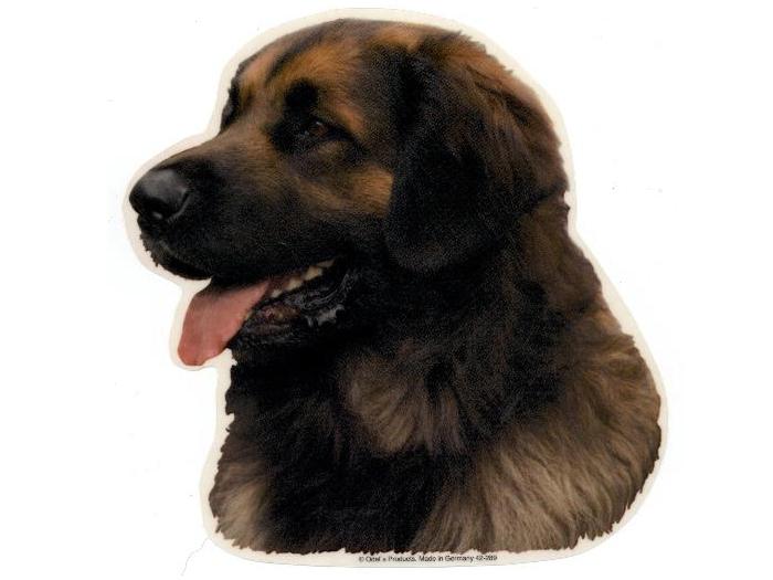 6: Leonberger, hv. Vælg: klistermærke, nøglering, broche, slipsenål, mm.