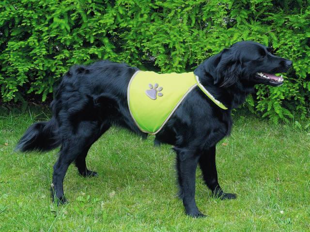 Billede af Sikkerhedsvest til hund, i neon grøn/gul med reflex.