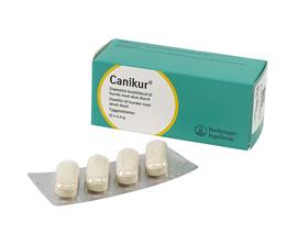 Billede af Canikur 12 tabletter. hos Alttilhundogkat.dk