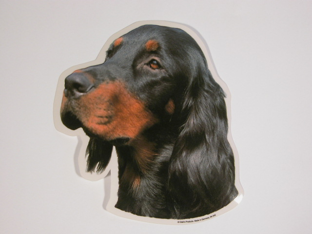 Gordon Setter, hv. Vælg: klistermærke, nøglering, broche, slipsenål, mm