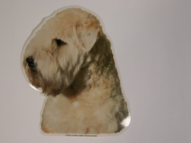 14: Irish Softcoated Wheaten Terrier, hv. Vælg: klistermærke, nøglering, broche, slipsenål, mm