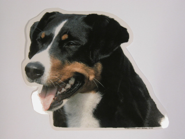 Appenzeller Sennenhund, hv. Vælg: klistermærke, nøglering, broche, slipsenål, mm