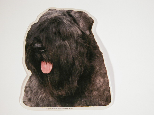 Bouvier des Flanders, øre ned. Vælg: klistermærke, nøglering, broche, slipsenål, mm.