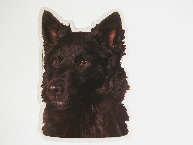 Kroatisk Hyrdehund, hv. Vælg: klistermærke, nøglering, broche, slipsenål, mm.