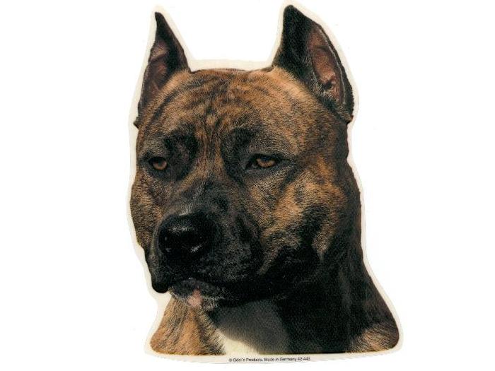 Amerikansk Staffords Terrier, hv. Vælg: klistermærke, nøglering, broche, slipsenål, mm.