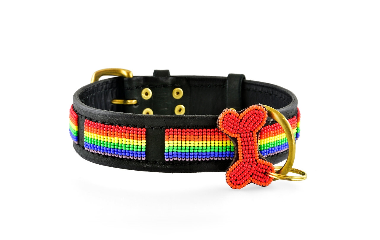 Pride Flag hundehalsbånd Zinj Design