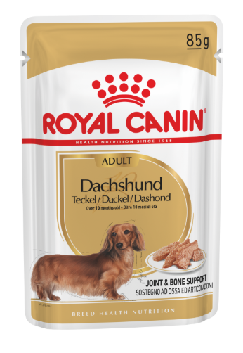 Se Royal Canin vådfoder Dachshund / Gravhund Adult - over 10 måneder. 12x85g. hos Alttilhundogkat.dk
