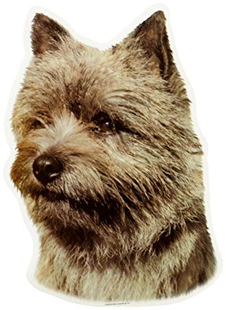 Cairn Terrier, brun, hv. Vælg: klistermærke, nøglering, mm.