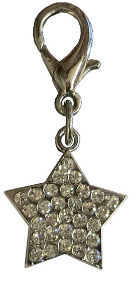 Vedhæng, "Diamant"-Stjerne i sølv-look.