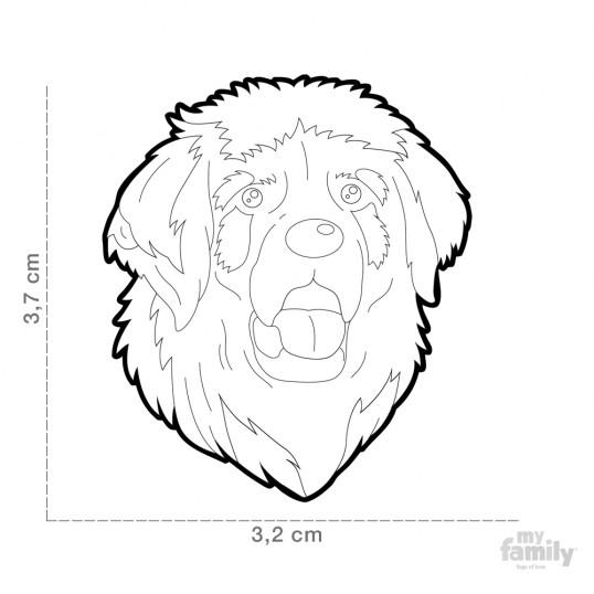 HundetegnLeonberger-01