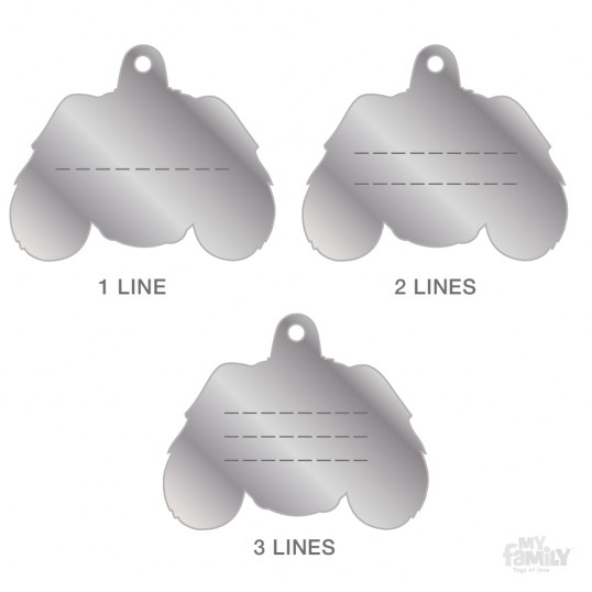 HundetegnCavalierKingCharlesFlerefarver-01