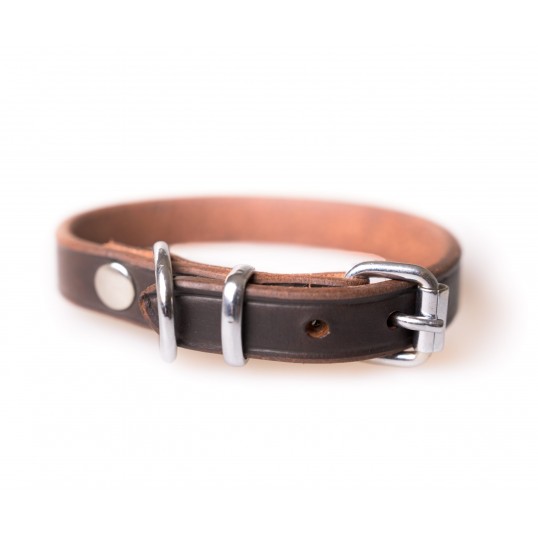 Canisbasiclderhalsbnd-01