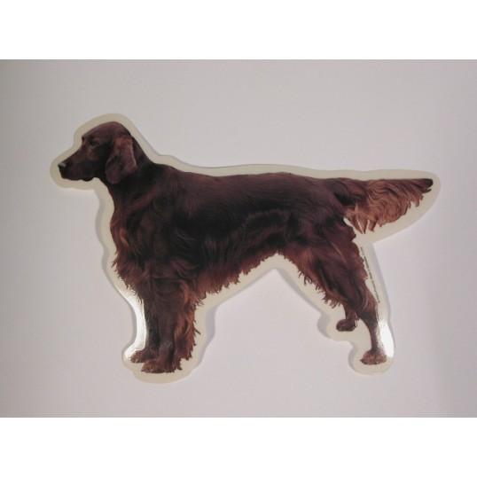 Irsk Setter, st. Vælg: klistermærke, nøglering, broche, slipsenål, mm