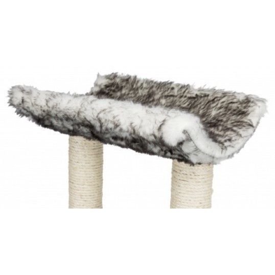 IsabakradsetrH62cm-02