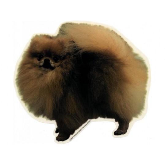 Pomeranian, st. Vælg: klistermærke, nøglering, broche, slipsenål, mm