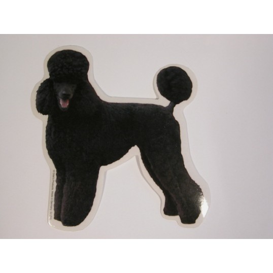 Pudel, sort, st. Vælg: klistermærke, nøglering, broche, slipsenål, mm