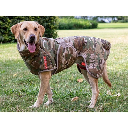 SiccaroSpirit20camo-01