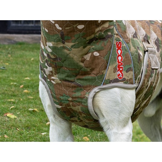 SiccaroSpirit20camo-01