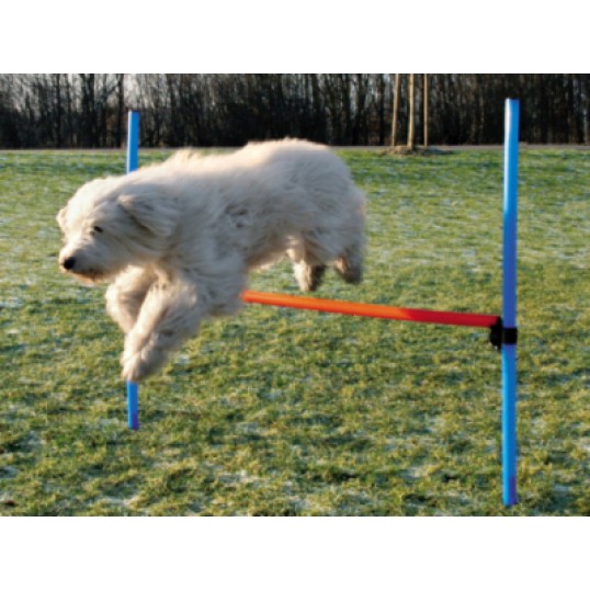 Hurdle (Spring)