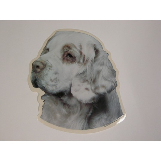  Clumber Spaniel, hv. Vælg: klistermærke, nøglering, broche, slipsenål, mm.