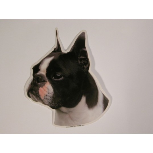 Boston Terrier, hv. Vælg: Klistermærke, nøglering, broche, slipsenål, mm.