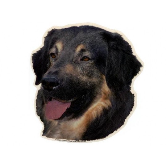  Hovawart, hv. Vælg: klistermærke, nøglering, broche, slipsenål, mm.