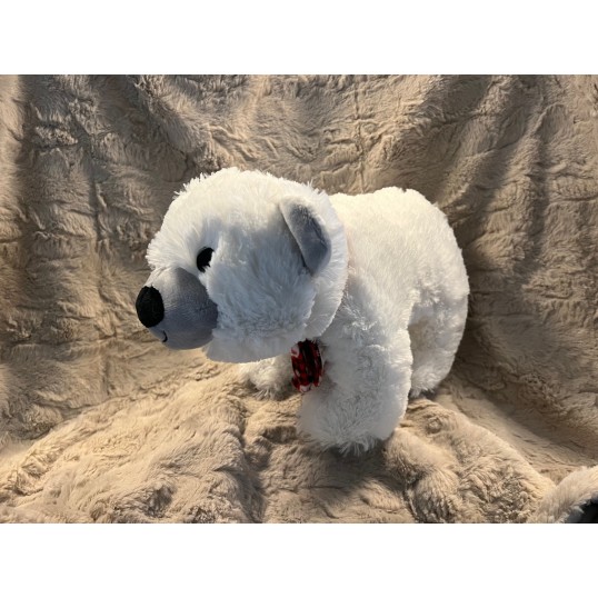 Pablo The Polar bear. Isbjørn.