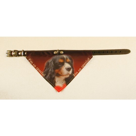 BandanahalsbndmedmotivafCavalierKingCharlesSpanielflerevarianter-01