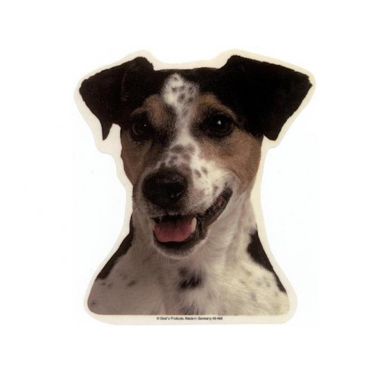Jack Russell Terrier, glathåret, hv. Vælg: klistermærke, nøglering, broche, slipsenål, mm.