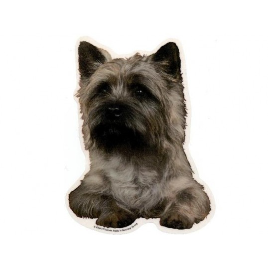 Carin Terrier, Lys, hv. Vælg: klistermærke, nøglering, broche, slipsenål, mm.