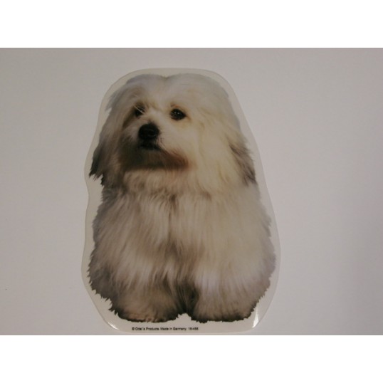  Coton de Tuléar. Vælg: klistermærke, nøglering, broche, slipsenål, mm.