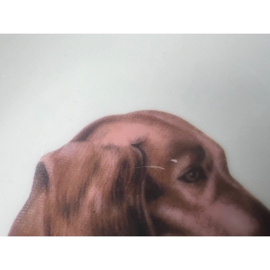 TallerkenmedLanghretGravhund1stk-01