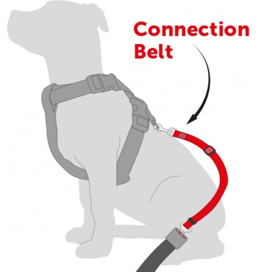 Hndtagtilhundenssikkerhedssele-01