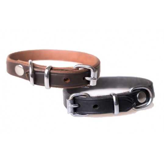 Canis basic læderhalsbånd.