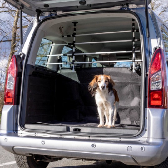 support besøg instans Hundegitter til bil. 2 størrelser.