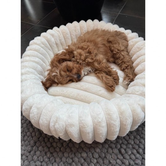 NordicPawsRippleComfortseng-01