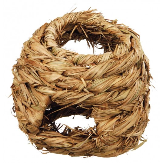 GrshuleTilmusoghamster-04