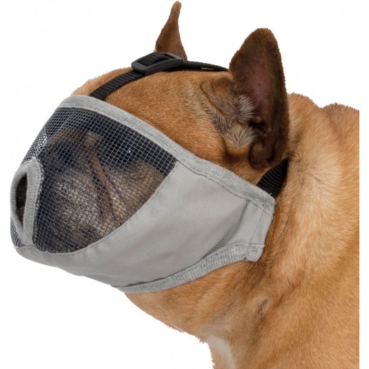 Mundkurvtilkortnsedehunde-01