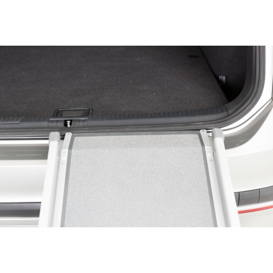 RampePetwalkTeleskoprampe-01