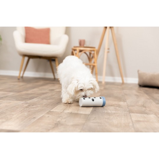 AktivitetslegerrSnackRollLevel1-01