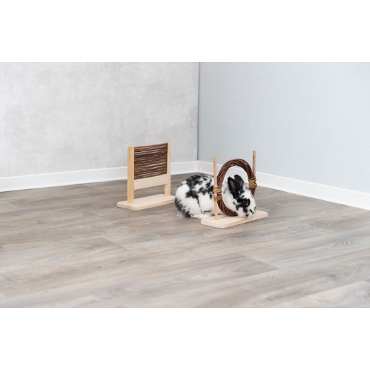 Aktivitetssttilkaninoggnaver-01