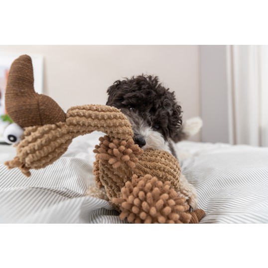 HundelegetjGribhrplys-01