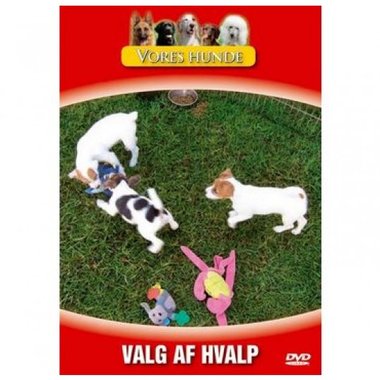 Vores hunde - Valg af