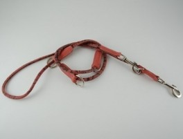 2CooldressurlineFunnySnake-20