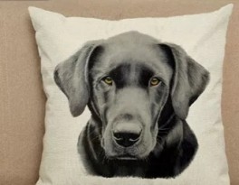 122Sofapudemedhundemotiv45x45cm-20