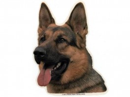 SchferhvVlgklistermrkengleringbrocheslipsenlmm-20