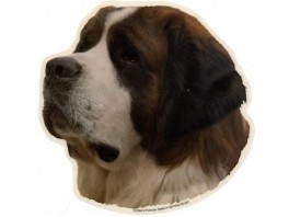 SanktBernhardshundhvVlgklistermrkengleringbrocheslipsenlmm-20